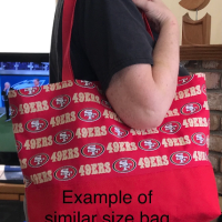 Example of a similar size bag