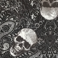 Skulls & Paisley Closet Hanger Hidden Safe Organizer 3 pockets (2 zipper), small locker space storage, skeleton, gothic, spooky, travel