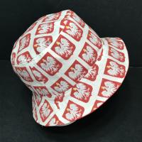 Side view, Polish eagles on red shields on white background