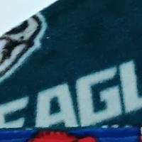 Philadelphia Phillies / Eagles Fleece Scarf with Fringe, Double Layer, Reversible, Handmade