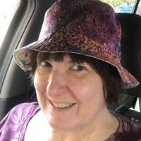 Detroit Lions / Tigers Bucket Hat, Handmade, Reversible, Sizes up to 4XL, Michigan sports, summer hat, fishing hat, sun hat, floppy hat, ponytail hat, baseball, football