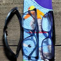 Snowboarder Print Eyeglass Sleeve, Snowboarder Gift, Glasses Pouch, Blue and Multi-color Sunglasses Case
