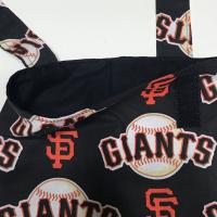 Small simple basic crutch bag, walker bag, scooter handlebars bag, caddy, handmade from SF Giants baseball licensed fabric