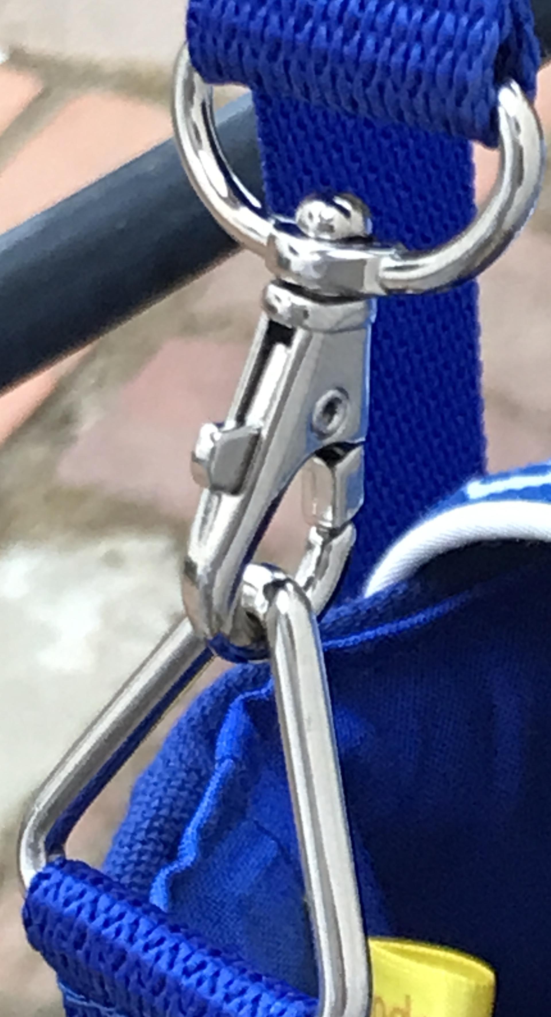 Removable strap with swivel hooks