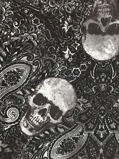 Skulls & Paisley Closet Hanger Hidden Safe Organizer 3 pockets (2 zipper), small locker space storage, skeleton, gothic, spooky, travel
