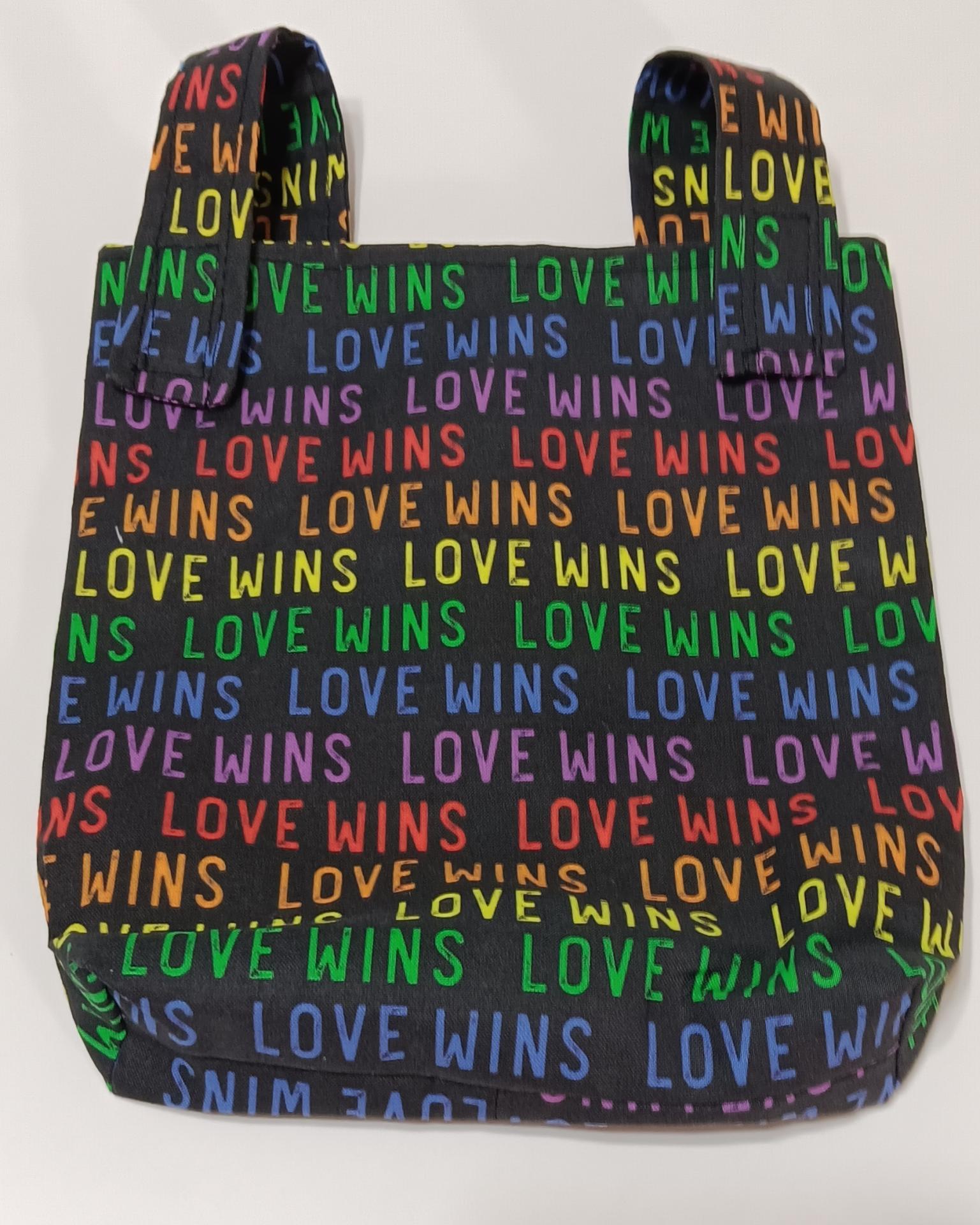 Simple small basic Love Wins bag for crutch, walker, stroller, scooter handlebars, caddy, hook and loop, rainbow & black