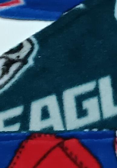 Philadelphia Phillies / Eagles Fleece Scarf with Fringe, Double Layer, Reversible, Handmade