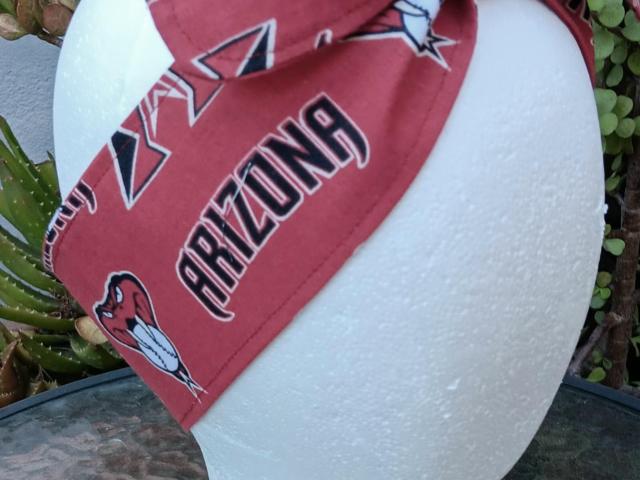 3” Wide Arizona Diamondbacks headband, Sedona red. handmade, hair tie, scarf, pin up style, hair wrap, retro, rockabilly, scarf